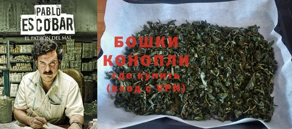 прущая мука Инта
